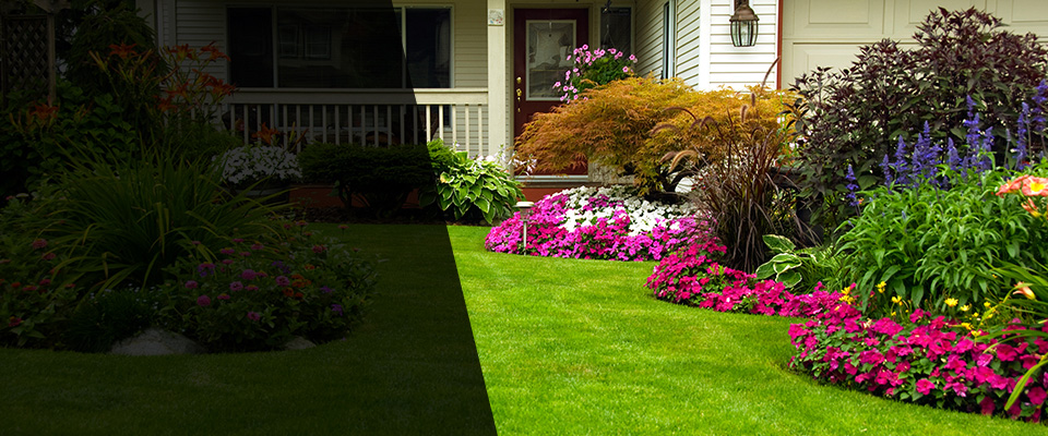 Pearl Landscapers